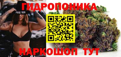 МДПВ Сланцы