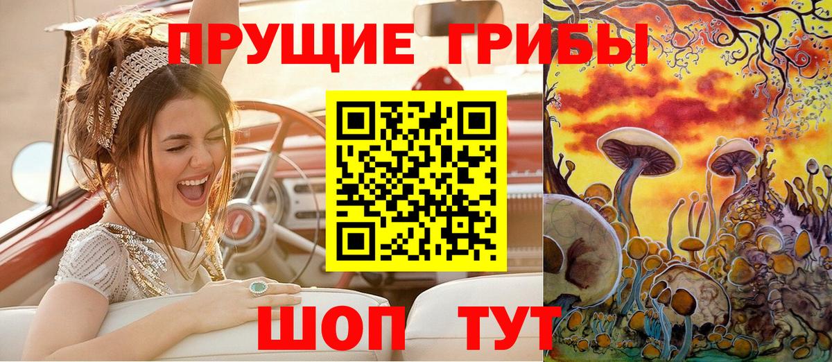 Псилоцибиновые грибы мицелий Полысаево